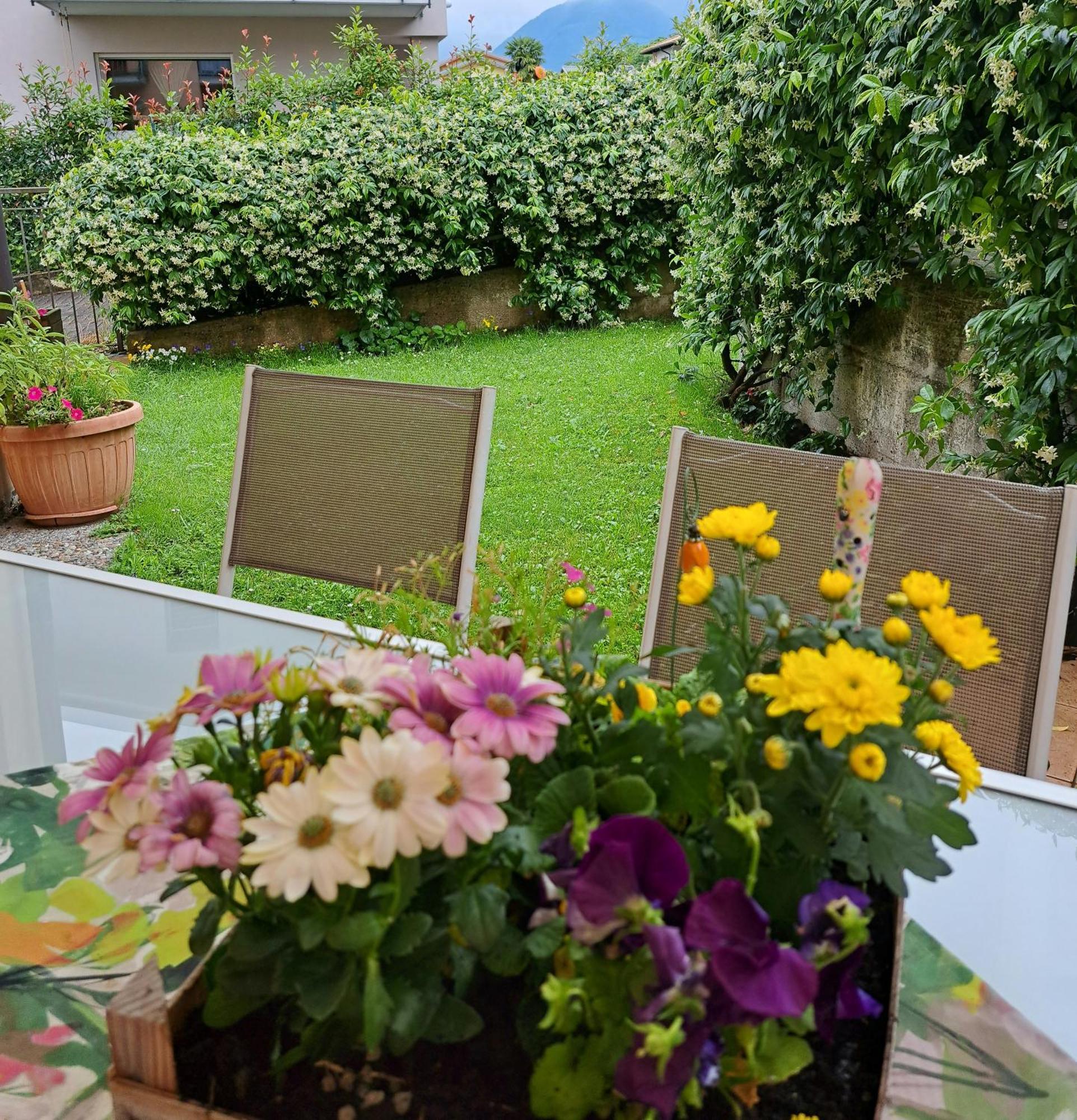 Appartement Madonnina Terrace E Garden